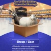 Qurban