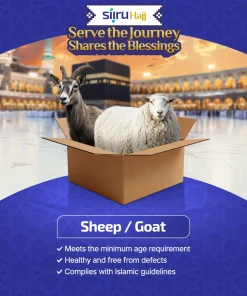 Qurban
