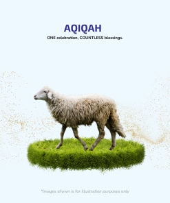 Aqiqah